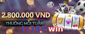 ts168 win